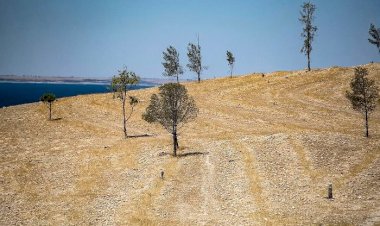 تصحُّر وندرة مياه.. هل تتجه سوريا إلى إبادة بيئية تهدد الملايين من الشعب؟