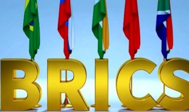 قمة البريكس.. ما النتائج المحتملة من القمة في جنوب إفريقيا؟