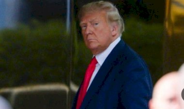 أستاذ علاقات دولية يكشف مصير ترامب من الترشح في الانتخابات الأميركية