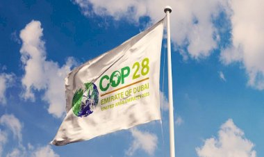 بعد استضافة قمة المناخ.. كيف حوّلت الإمارات ديناميكيات القوة في العالم العربي؟