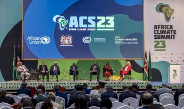 تحالف لانتقال إفريقيا للاقتصاد الأخضر.. مخرجات قمة المناخ الإفريقية الأولى