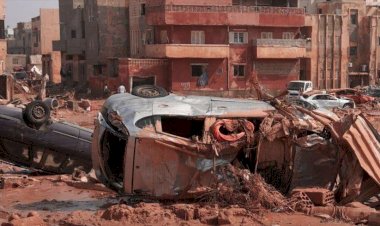 مصر والإمارات يدعمان الشعب الليبي