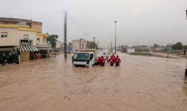 الإمارات ترسم 