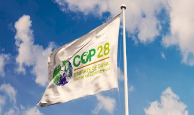 تقرير أوروبي: على الغرب اتباع نهج الإمارات في مواجهة تغيُّرات المناخ خلال COP28