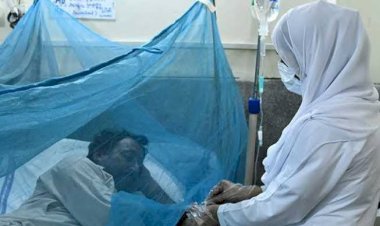 مع استمرار الحرب.. حمى الضنك تلتهم ولايات سودانية ووفيات لا تحصى