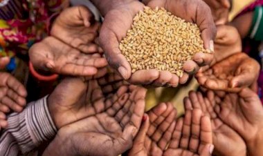 الاضطرابات في البحر الأسود تهدد الأمن الغذائي في الشرق الأوسط وغرب آسيا