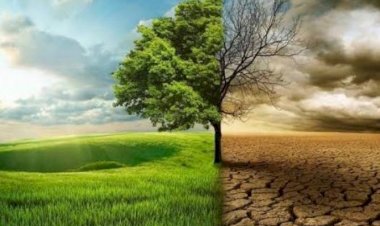 تقارير ومراقبون يكشفون تأثير التغيرات المناخية على العالم