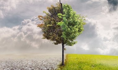 أزمات مناخية تضرب الكرة الأرضية.. والسنوات القادمة تحمل 