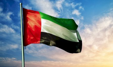 ما أبرز الحلول الإماراتية لحل الأزمة المشتعلة في غزة؟