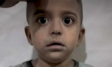 محمد أبولولي.. قصة الطفل الفلسطيني المرتجف الذي أبكى الجميع