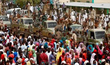 مع عودة النازحين للخرطوم.. الكلاب والقطط تغذت على الجثث وأصبحت متوحشة في السودان