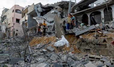 لحماية أهالي غزة.. تحركات إماراتية مستمرة لدعم الضحايا واستمرار ضخ المساعدات على معبر رفح