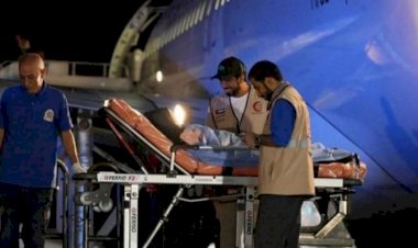 مبادرة إنسانية جديدة.. خطة إماراتية لإنقاذ مرضى السرطان بغزة