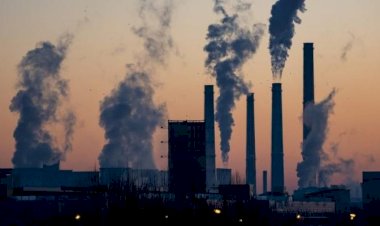 كيف ساهمت رؤية الإمارات العالمية في حماية مستقبل البشر بالاستدامة وخفض الانبعاثات؟