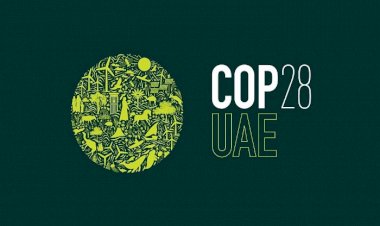 بلومبرج: تحوُّل وإقبال كبير في الإمارات على سندات الطاقة الخضراء قبل انطلاق COP28
