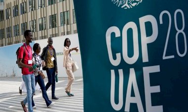 COP28: محادثات الأمم المتحدة بشأن المناخ تتّجه نحو إنهاء الوقود الأحفوريّ