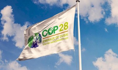 الأمل في الإمارات.. تفاؤُل عالمي كبير بنجاح COP28 في التحوُّل للطاقة النظيفة