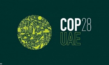 مسؤولون وخبراء مناخ: الإمارات استطاعت حشد دول العالم على جمع تمويل للدول النامية