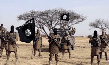 ضربة قاصمة لداعش في مالي.. مَن هو أبو شعيب العقل المدبِّر للتنظيم؟