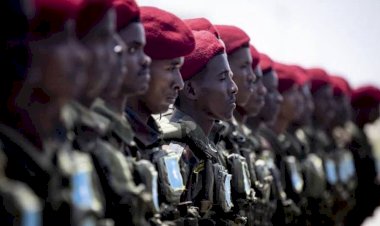 جهود كبرى لدولة الإمارات في الصومال.. دعم ومشروعات وحماية من الإرهاب