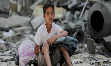 بعد 6 أشهر من الاقتتال والأزمات.. ماذا عن الهدنة الجديدة في غزة؟