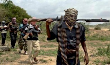 متخصصة تفند كل التفاصيل المتعلقة بتمويلات جماعات العنف في إفريقيا