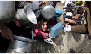 ندوب لا تُمحى.. المجاعة الحالية في غزة ستؤثر على الأطفال مدى الحياة.. ما التفاصيل؟