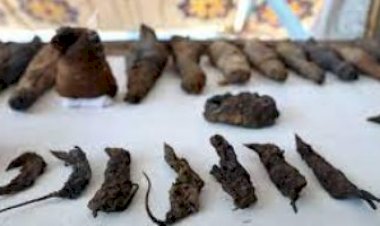 أسرار الموت الأسود.. فئران محنطان يقودان العالم لاكتشافات جديدة عن الطاعون