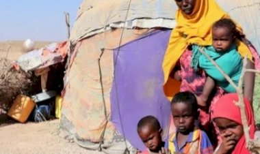 بعد فرار أكثر من 9 ملايين شخص.. السودان يقود المعدلات التاريخية للنزوح في العالم