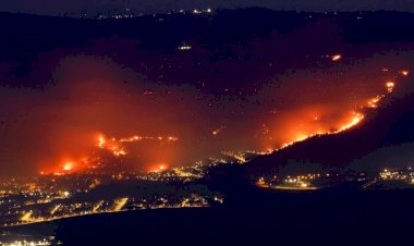 حرائق الغابات في إسرائيل.. ما هي علاقة حزب الله وما تداعيات ذلك؟