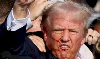 بـ 299 دولارًا.. حذاء رياضي جديد يظهر صورة ترامب بعد إطلاق النار عليه