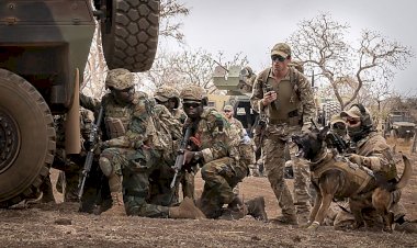 لمواجهة القاعدة وداعش.. انتشار القوات الأمريكية والمقاتلات في الساحل الغربي الإفريقي