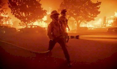 جحيم في هوليوود.. الحرائق تلتهم أشهر معالم السينما الأمريكية وتشرد الآلاف