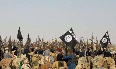 هل تسعى إيران لتحويل داعش إلى أداة لزعزعة الاستقرار؟.. خبراء يجيبون