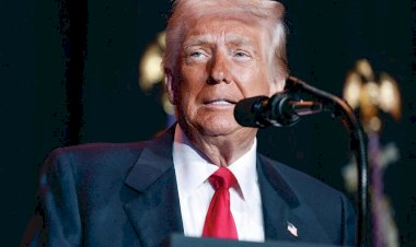 الجيش الإسرائيلي: لا يُمكن تنفيذ خطة ترامب بتفريغ غزة من الفلسطينيين