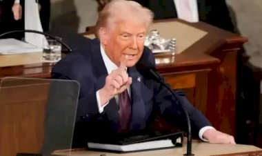 محمود خليل.. قضية ترحيل تُشعل جدلًا حول حرية التعبير في الولايات المتحدة