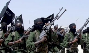 خبير في شؤون الجماعات الإرهابية: الضغوط العسكرية على حركة الشباب قد تُسهم في تقويض قدراتها