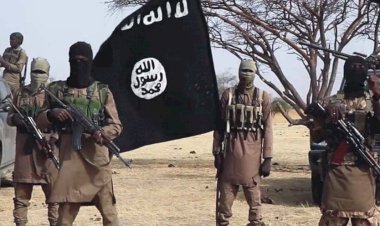 محلل: داعش يعيد رسم نفوذه في إفريقيا مستغلاً الفوضى.. واللامركزية أصبحت سلاحه الجديد