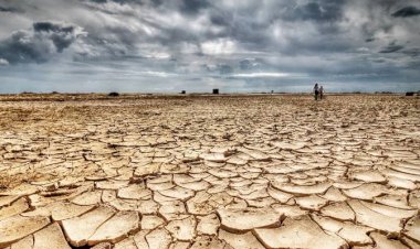 سياسي : الجفاف يُهدد استقرار العراق ويكشف ثغرات إدارة الموارد