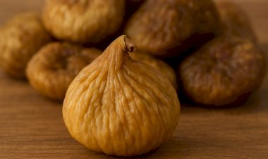 التين يتفوّق على التمر في دعم خطط خسارة الوزن