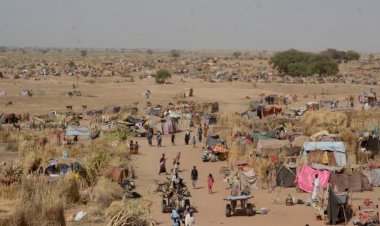 انهيار أرضي في دارفور يقتل أكثر من ألف شخص ويمحو قرية بأكملها