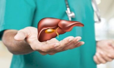 تضخم الكبد.. أسبابه وأهميته كإشارة إنذارية لصحة الجسم