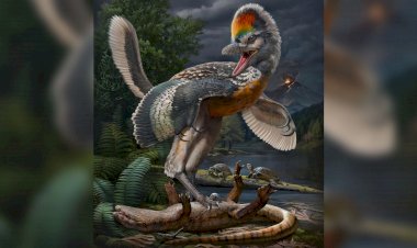 تجربة خيالية.. ديناصور آلي يثير تفاعلاً واسعًا بين زوار حديقة صينية