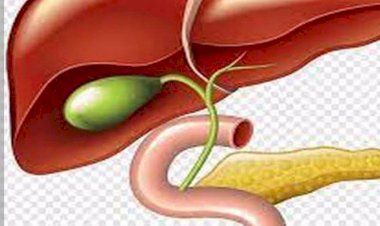 ارتفاع انزيمات الكبد.. الأسباب وطرق الوقاية