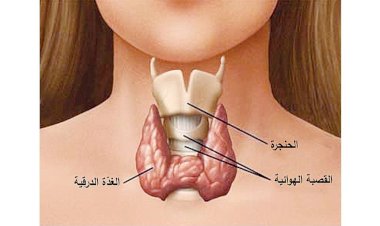خمول الغدة الدرقية.. الأسباب والأعراض وطرق العلاج