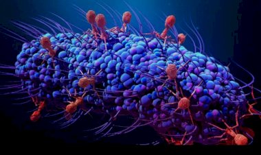 فيروسات ملتهمة البكتيريا تفتح آفاقًا جديدة لعلاج العدوى المقاومة للمضادات الحيوية