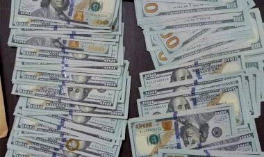 أسعار العملات العربية أمام الدولار الأمريكي الخميس 6 نوفمبر