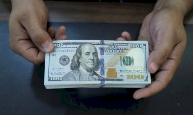 أسعار العملات العربية أمام الدولار – 7 نوفمبر 2025