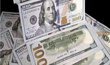 استقرار أسعار العملات العربية أمام الدولار السبت 8 نوفمبر