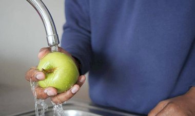 أفضل الطرق لغسل التفاح والتخلص من الشمع والمواد العالقة بسهولة